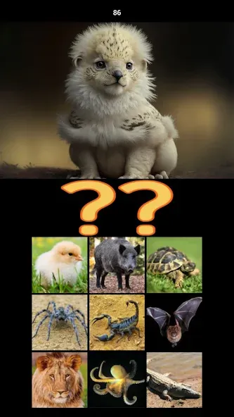 Hybrid Animals Crazy Lab Quiz (Хибридные животные Сумасшедшая лаборатория Викторина)  [МОД Mega Pack] Screenshot 5