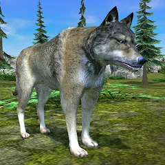 Взлом Wolf Simulator - Animal Games  [МОД Unlimited Money] - последняя версия apk на Андроид