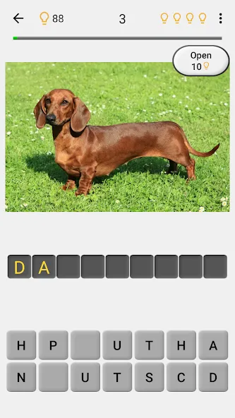 Dogs Quiz - Guess All Breeds!  [МОД Много денег] Screenshot 2