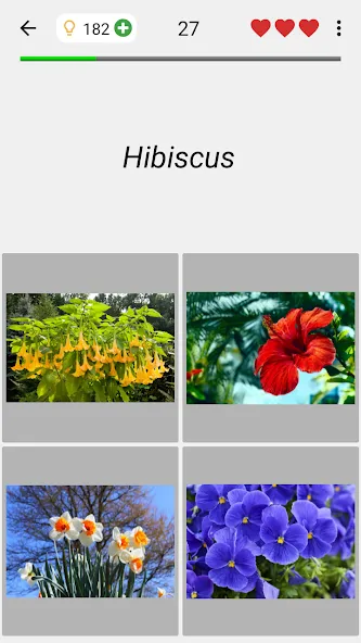 Flowers Quiz - Identify Plants  [МОД Menu] Screenshot 4