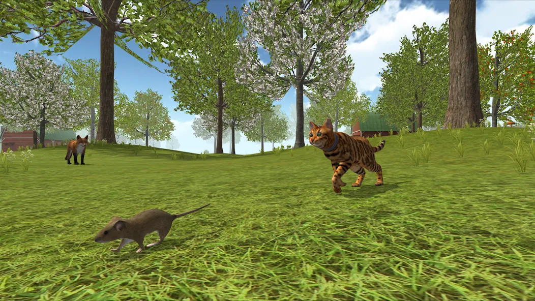 Cat Simulator : Kitties Family  [МОД Бесконечные монеты] Screenshot 4