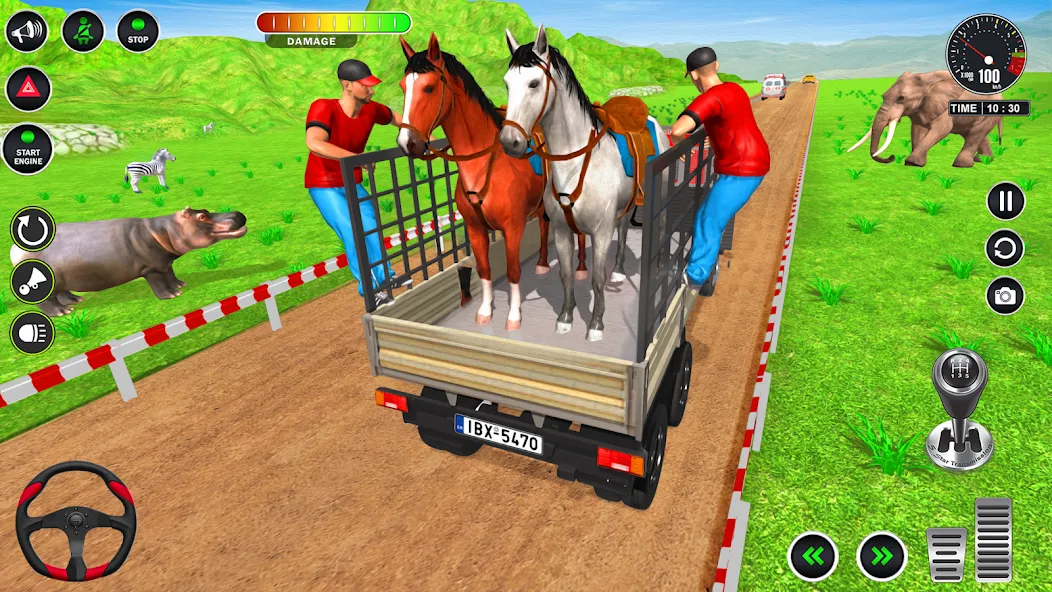 Animal Transport Truck Game 3D (Игра Грузовик для перевозки животных)  [МОД Все открыто] Screenshot 4