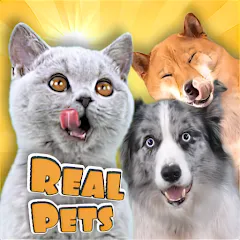 Скачать взломанную Adopt a pet : Corgi Games (Риал Петс бай Фруви)  [МОД Menu] - последняя версия apk на Андроид
