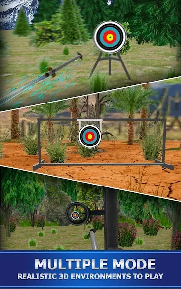 Archery Shoot  [МОД Бесконечные деньги] Screenshot 1