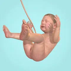 Взлом Idle 9 Months (Айдл 9 месяцев)  [МОД Все открыто] - стабильная версия apk на Андроид