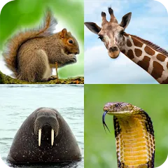 Скачать взломанную Animal Quiz: Guess the Animal  [МОД Много монет] - последняя версия apk на Андроид