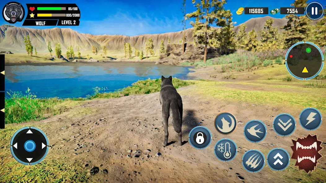 Wild Wolf Simulator Games  [МОД Много монет] Screenshot 2