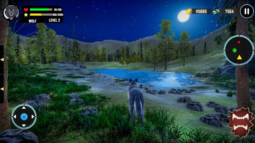 Wild Wolf Simulator Games  [МОД Много монет] Screenshot 4