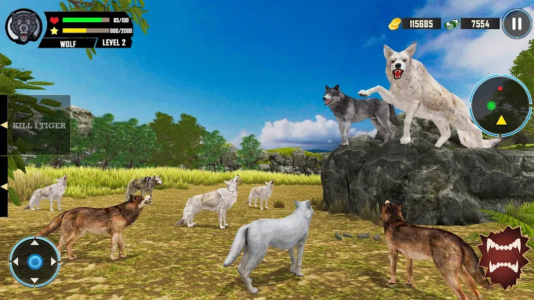 Wild Wolf Simulator Games  [МОД Много монет] Screenshot 5