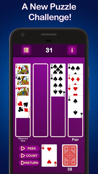 Puzzle Poker Joker's Wild  [МОД Все открыто] Screenshot 1