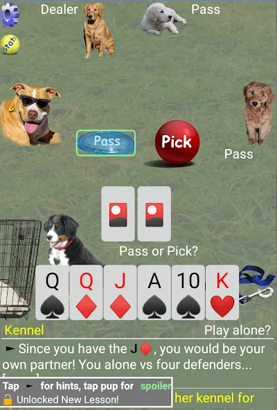 K9 Sheepshead (Schafkopf) (Шипсхед)  [МОД Бесконечные монеты] Screenshot 2