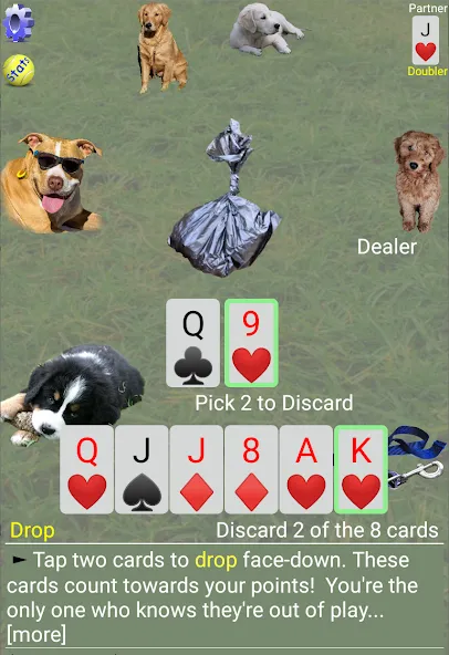 K9 Sheepshead (Schafkopf) (Шипсхед)  [МОД Бесконечные монеты] Screenshot 3