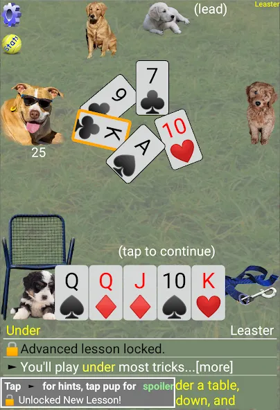 K9 Sheepshead (Schafkopf) (Шипсхед)  [МОД Бесконечные монеты] Screenshot 4