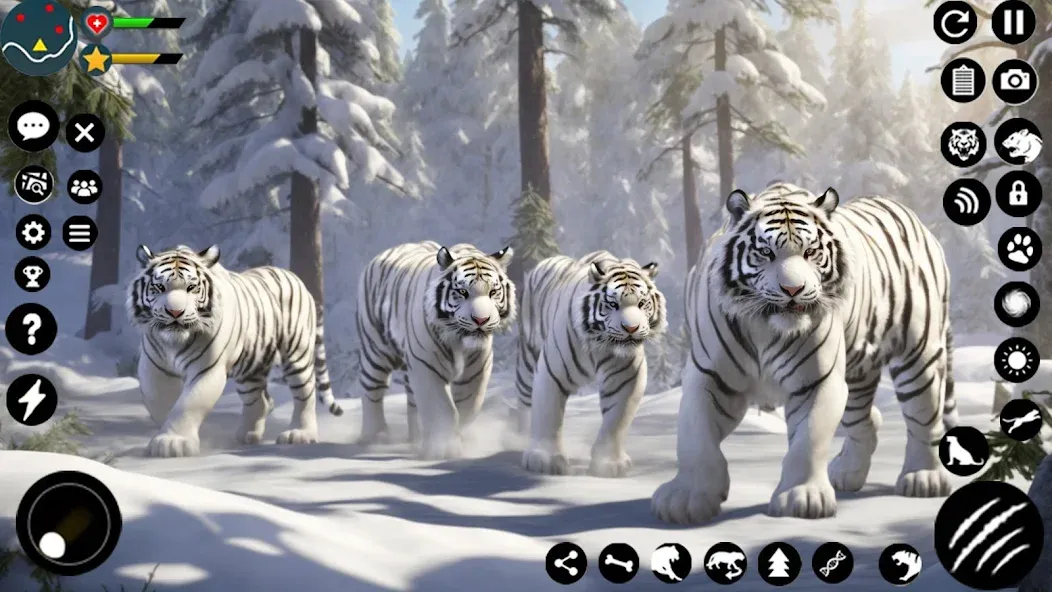 Arctic White Tiger Family Sim  [МОД Unlimited Money] Screenshot 4