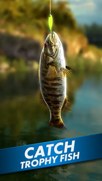 Ultimate Fishing! Fish Game  [МОД Меню] Screenshot 1