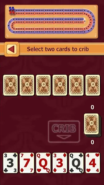 Cribbage (Криббидж)  [МОД Unlimited Money] Screenshot 1