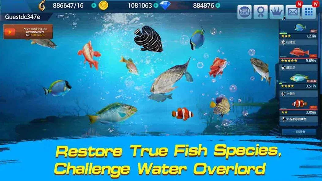 Fishing Championship  [МОД Unlocked] Screenshot 2