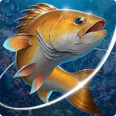 Взломанная Fishing Hook  [МОД Много монет] - последняя версия apk на Андроид