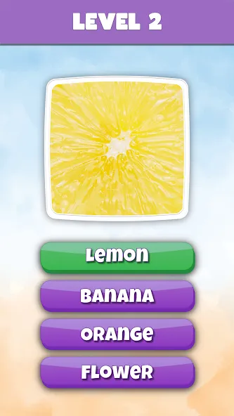 What is it? Pics Trivia Quiz  [МОД Menu] Screenshot 3