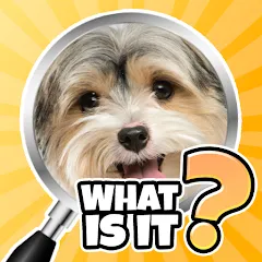 Скачать взлом What is it? Pics Trivia Quiz  [МОД Menu] - полная версия apk на Андроид