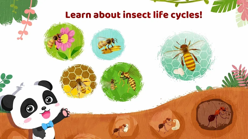 Little Panda's Insect World  [МОД Много монет] Screenshot 4