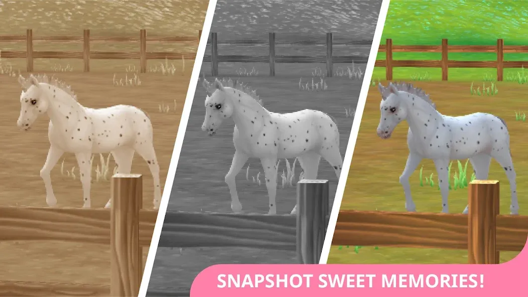 Star Stable Horses (СТар Стабл Хорсес)  [МОД Много монет] Screenshot 4