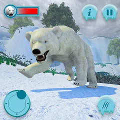 Взлом Polar Bear Family Survival  [МОД Много монет] - полная версия apk на Андроид