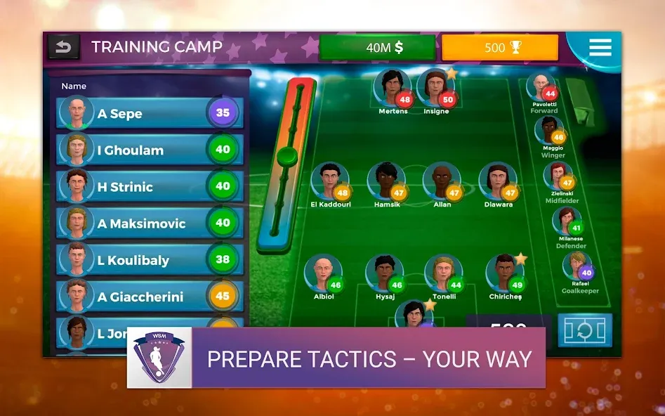 WSM - Women's Soccer Manager (ВСМ)  [МОД Много монет] Screenshot 5