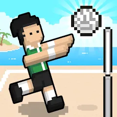 Взломанная Volley Random (Воллей Рэндом)  [МОД Menu] - полная версия apk на Андроид