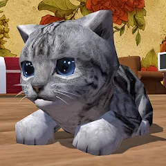 Взлом Cute Pocket Cat 3D (Сьют Покет Кэт 3Д)  [МОД Много денег] - стабильная версия apk на Андроид