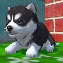 Скачать взломанную Cute Pocket Puppy 3D (Сьют Покет Паппи 3Д)  [МОД Unlocked] - полная версия apk на Андроид