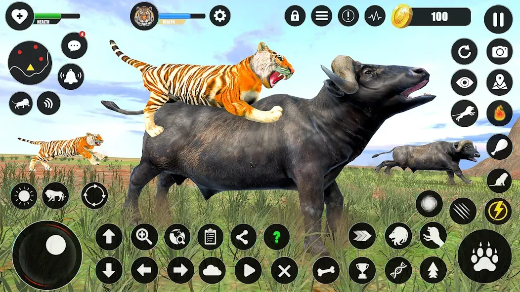 Tiger Simulator Animal Games (Тигровый симулятор  игры с животными)  [МОД Много монет] Screenshot 4