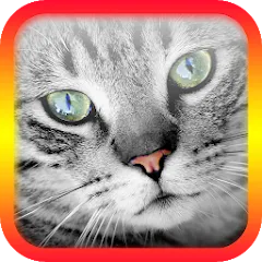 Скачать взломанную Translator for Cats Prank  [МОД Много денег] - полная версия apk на Андроид